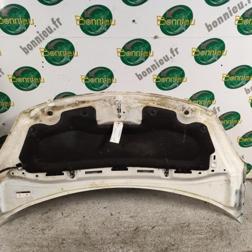 100921439-6622e3bd-e89b-4210-8b53-2ff20861add4-Piece-Capot-00007901R1-CITROEN-C3-2-PHASE-1-aebf2fc9271753488951ea66c19dd95c903ebaae4d0f0930aa74df0805f6ab49_m.jpg