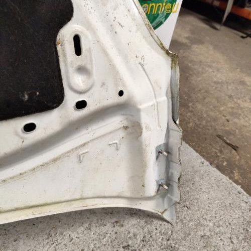 100921439-2a38e8ca-ed36-4912-96f1-9abd06a9fcf2-Piece-Capot-00007901R1-CITROEN-C3-2-PHASE-1-e9132970e2687a6f678fd378b040832368a711fcc24bc17370a2a9993c9a2352_m.jpg