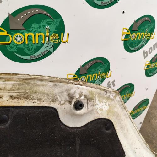 100921439-c1e75129-31d1-4598-a5b3-900657a1bc42-Piece-Capot-00007901R1-CITROEN-C3-2-PHASE-1-d59511126f9766ffc4cca8aa79bfcae04b272d75a9d1ff68a0381b85e20db9c6_m.jpg