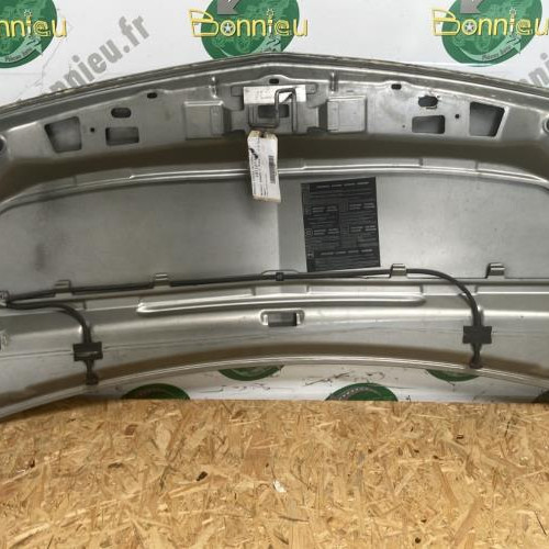 101127760-24e85716-0e05-4388-b8db-a90c03cbe899-Piece-Capot-651003220R-RENAULT-KANGOO-2-PHASE-1-6297eebb2229e4ff6f5e327162732739971051809c2138c01634a23bffe68def_m.jpg