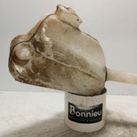 101178095-ae2e0e0e-f3da-44bc-a34c-50a776aa22b1-Piece-Vase-de-lave-glace-7701068747-RENAULT-KANGOO-2-PHASE-1-32026751c7e5d7d3f147533f006575a3c3e1f8f6f836afa70dee2ee7058e8878_m.jpg