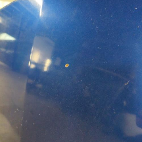 101524852-9d51a37f-af1e-4f10-af2f-e1481dea21ad-Piece-Capot-7751476113-RENAULT-CLIO-3-PHASE-2-5c326b507a3785269544a1bb9cf5bf4b3bd188d32a007710f61801c6d1f3d426_m.jpg