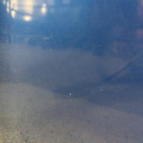 101524852-6b059dbc-1f04-489c-9f0a-918b17f545ea-Piece-Capot-7751476113-RENAULT-CLIO-3-PHASE-2-49a8ca467d38b22f6f4074c83f5817fcf2f30dc2ae75776ef8d1b9af00ea3b0a_m.jpg