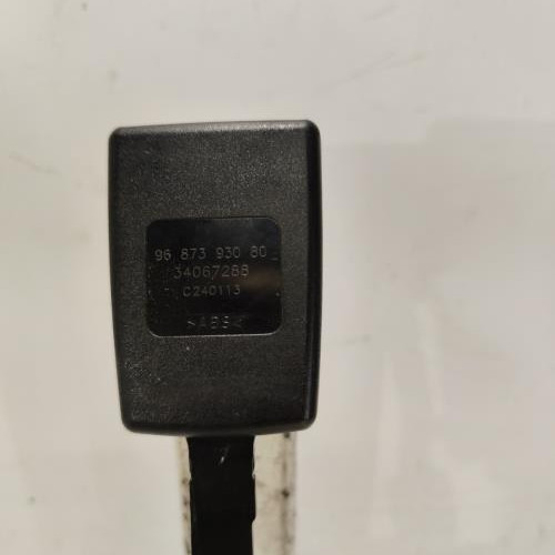 102277139-5a0e963a-264f-4433-8515-940927f94147-Piece-Attache-ceinture-avant-droit-00008975SZ-CITROEN-C3-2-PHASE-1-7be82b1f50f9d21a432237f6a6d39acae79c76757c60504a1727c27405aa1061_m.jpg