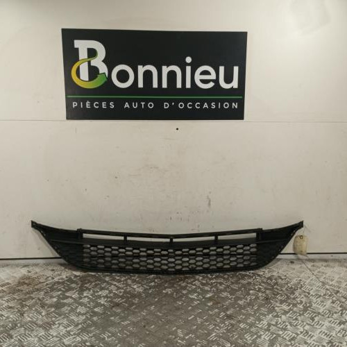 Grille de pare choc