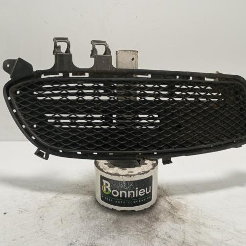 Grille de pare choc