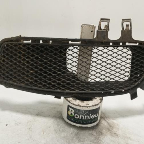 Grille de pare choc