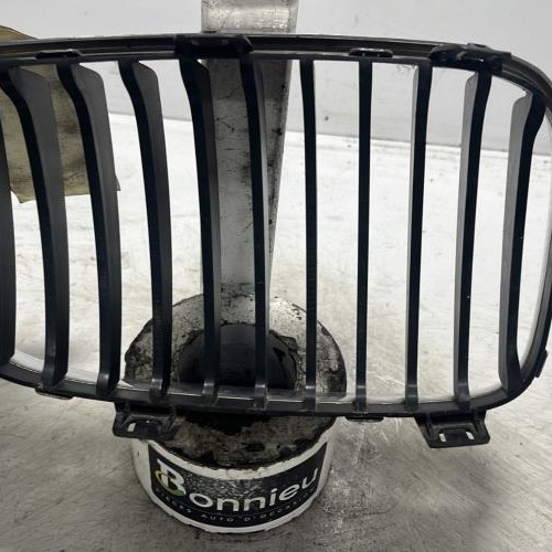105430502-c4a84db1-4faa-4cc0-afbd-9d0730dcf1b4-Piece-Calandre-gauche-51137179655-BMW-SERIE-1-E82-COUPE-47a76e4d5b8e6eca6dbbee51abfaa5ff15d0cb4f54d1fd5a43235aa0f4b344bb_m.jpg