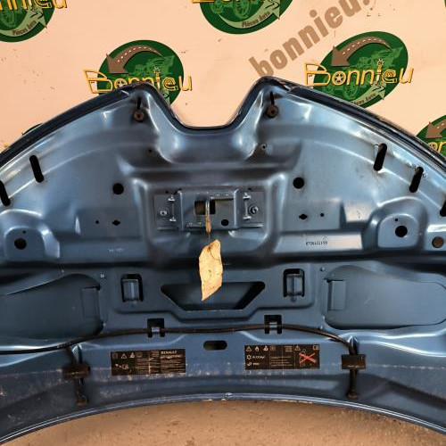 105524140-21bc8465-be1f-404f-ae76-4a00ef5875cb-Piece-Capot-651004516R-RENAULT-ZOE-1-eed7ac40d7da9668fe364c01af48c686ffdbb2cea0b037e256feb6783af0fcec_m.jpg