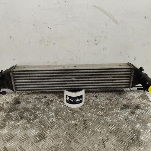 106646643-625cd524-90fd-40f2-b127-615598124447-Piece-Echangeur-air-Intercooler-51965908-JEEP-RENEGADE-PHASE-1-7976a14ca4d637b86be6097dea653cf3120ec8be8f9d77b55b34dc30fd0ca4a2_m.jpg