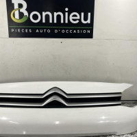 106724516-a47450cb-ec3a-4a86-b972-abb882d36cd6-Piece-Calandre-98117893XT-CITROEN-JUMPY-3-M-b1e85cf3f7de1735e0f537af0922bc9fbb84b2d5e95489a895b3f10441239ed3_m.jpg