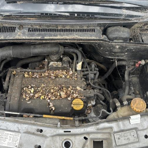 Vehicule-OPEL-MERIVA%2520A%2520PHASE%25202-2005-d1c78397b59fafe00dffaaa8f9eab5b735f3062407624ca6a0a9253269a37766_m.jpg