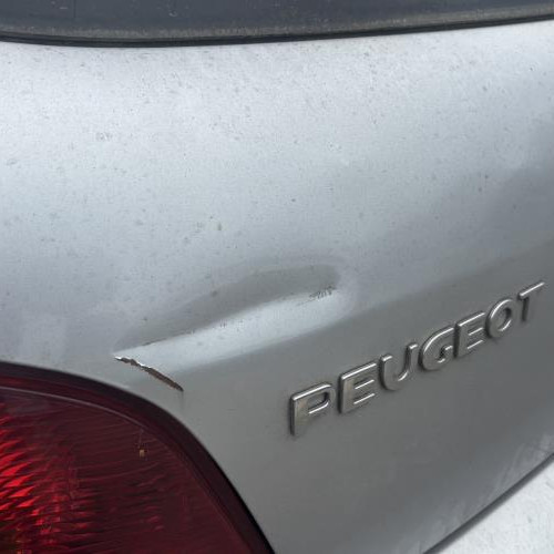 Vehicule-PEUGEOT-307%2520PHASE%25201-2004-caa0c64615b079c187972604485fc1a6fdb449c75bad981b8aa5799c9e172d6d_m.jpg