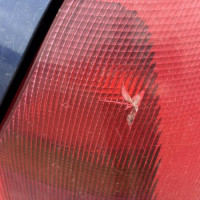 Vehicule-RENAULT-CLIO%25202%2520PHASE%25201-2001-025c3fb28bd68ae90c1061d4282fd6d88a9962122325a2bfec52322d5013c581_m.jpg