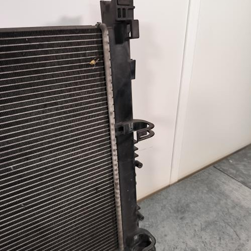 109678160-cbe22b7e-ba46-4754-9c25-2e63b72a6808-Piece-Radiateur-eau-214107326R-DACIA-SANDERO-2-PHASE-2-a1c689ea0cb59170c87a3f3592be8a9d7381f9aaf09b960d23f4e8e92ed7734a_m.jpg