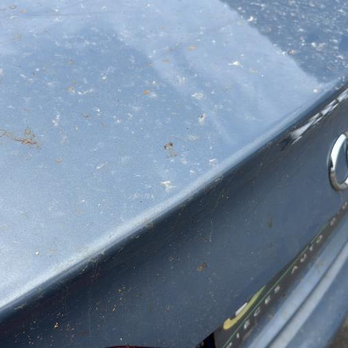 Vehicule-AUDI-A4%25203%2520PHASE%25201-2008-51208bd71e9c84aa4e9efb600c8c7eed1ea0e6df1522d637ba750ca9a16a8095_m.jpg
