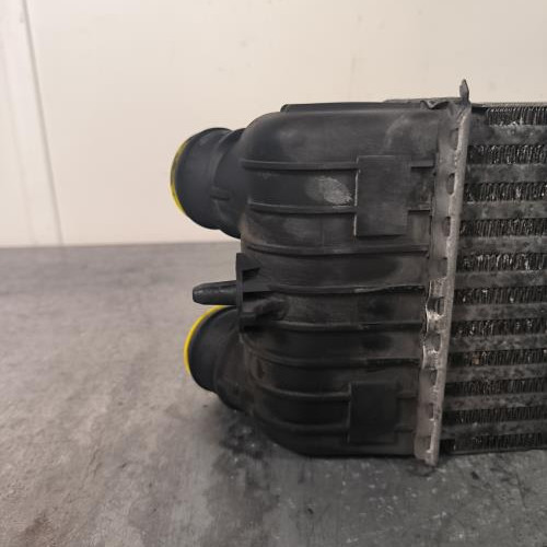 111279921-26a23e82-d165-4661-82c9-a94cce67fe63-Piece-Echangeur-air-Intercooler-0384J4-PEUGEOT-207-PHASE-1-36060381d3e7a68e0641bdec5f4a95c4e15140415619012a70fe7f6d38cf762c_m.jpg