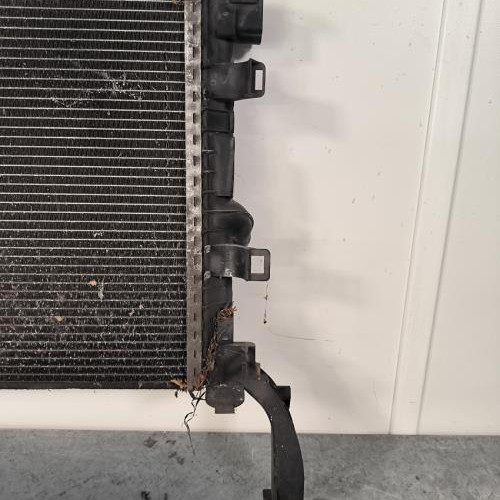 111309316-65e63b76-753f-40c2-8269-e538c7035163-Piece-Radiateur-eau-214100004R-RENAULT-LAGUNA-3-PHASE-1-64b3ff3ba9db893d74824df8b7d2a7e98a0166950cc2613251bbbb531e07a65e_m.jpg