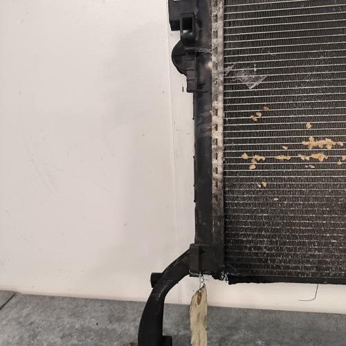 111309316-5d72f258-32ad-453c-a0f5-49d52fc25f0e-Piece-Radiateur-eau-214100004R-RENAULT-LAGUNA-3-PHASE-1-7c5aac2059e52dcb5b072174c0ffad3088e4f4b7861c66d75afa07d5ed04d514_m.jpg