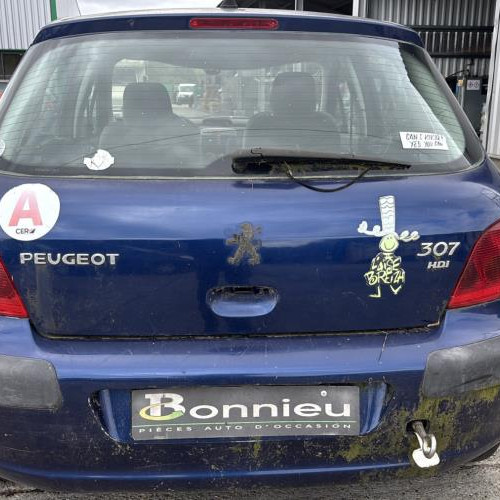 Vehicule-PEUGEOT-307%2520PHASE%25201-2004-12e850a1af20d0bc729b99588398d1eeb162cc838055fb1f334eb65107487260_m.jpg