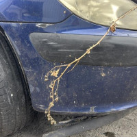 Vehicule-PEUGEOT-307%2520PHASE%25201-2004-962e129c3ad7075f7c3ce10b7a06b7f8b605d143fc1559893a0bf540532dc7ea_m.jpg