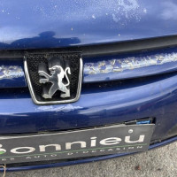 Vehicule-PEUGEOT-307%2520PHASE%25201-2004-04bbff1c7c4b02284bc219d3bf95a0bc528080253d796f18684de39b61a40595_m.jpg