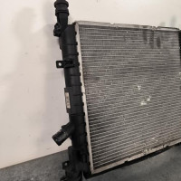 111960990-040bc6ed-6eab-439d-9859-07e8446604b0-Piece-Radiateur-eau-FORD-KA-1-PHASE-1-88bc56754d51058e30c63875bf0a162b2dd7975f6aa746f2bdbbabd22905539a_m.jpg