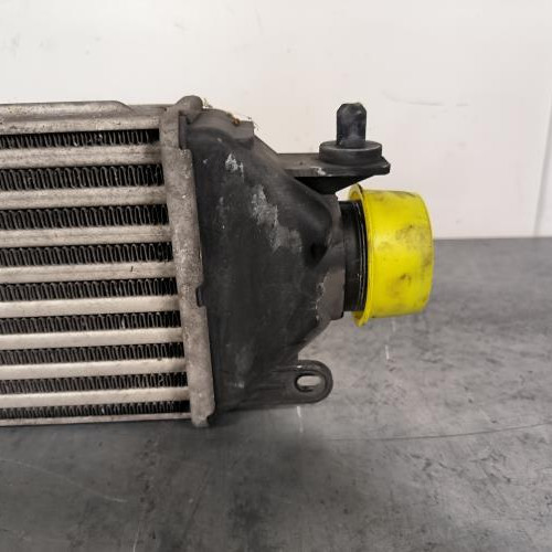 112022866-e76f4bec-ed18-4f03-bbbb-de689f689a5f-Piece-Echangeur-air-Intercooler-51783791-FIAT-DOBLO-2-PHASE-1-d504275432611a7d65c4a49cbdfd9dd012ee7de133f06e64cdbc7e82824d1d76_m.jpg
