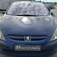 Vehicule-PEUGEOT-307%2520PHASE%25201-2004-34f5b759f973dbbabf8428657144ae648e5e8b732e0e8a13dcd9bf16ce70aa3d_m.jpg