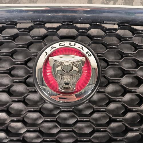 114947002-800c32b4-1291-408c-9c61-0b8f36cbb69f-Piece-Calandre-T4N12528-JAGUAR-XE-5d6915bb1a11418a7108d7e2a4376e9a0b55bab84166ad966f933896441e7199_m.jpg