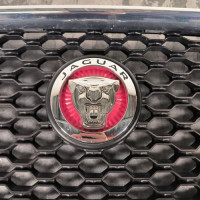 114947002-800c32b4-1291-408c-9c61-0b8f36cbb69f-Piece-Calandre-T4N12528-JAGUAR-XE-5d6915bb1a11418a7108d7e2a4376e9a0b55bab84166ad966f933896441e7199_m.jpg