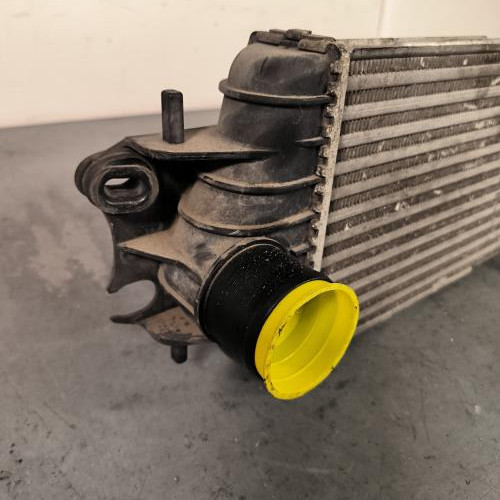 115717369-08259f25-0ac3-49e5-95ad-7b2e317737ac-Piece-Echangeur-air-Intercooler-7700312903-RENAULT-TRAFIC-2-PHASE-1-678676595627bfd7ed66f348af3e1ccc35440803aa7fe55d988bf9064e954f91_m.jpg