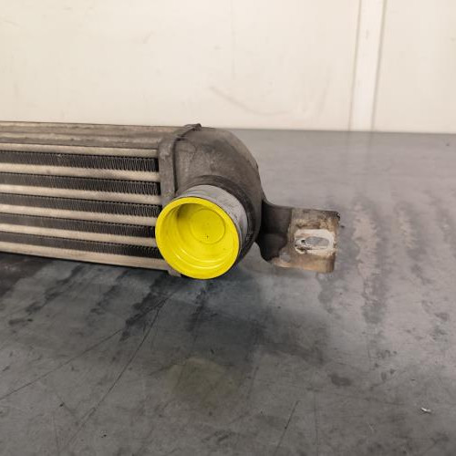 117037388-49695390-0de1-4cd7-8295-754d12524bf2-Piece-Echangeur-air-Intercooler-13299920-OPEL-MERIVA-A-PHASE-2-d5fbe439477da216e864d5c98df28ed905a87b49d54c62626725d3258566e838_m.jpg
