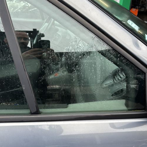 Custode avant droit (porte)