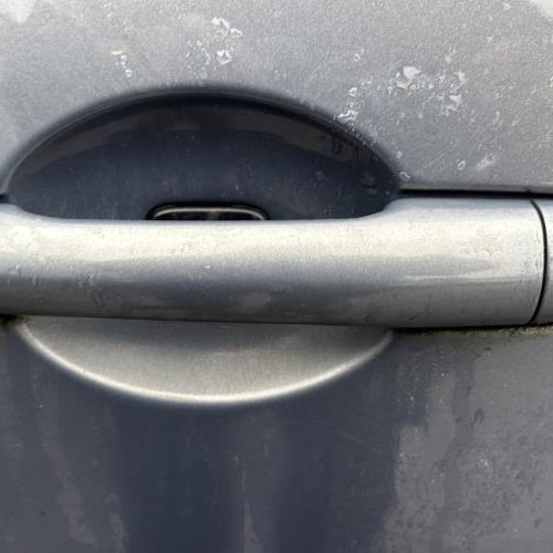 Poignee porte arriere gauche