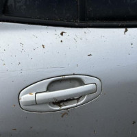 Vehicule-HYUNDAI-SANTA%2520FE%25201-2003-1b46afb42fd9523db91580a5bb63ed5a35df074ff2c6e759d4df32e8221df53a_m.jpg