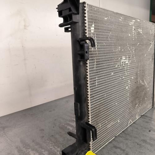 119290380-1453dbb0-c74a-41f2-b29c-bd31eef7cac1-Piece-Radiateur-eau-214108607R-RENAULT-MEGANE-4-PHASE-1-17d05fa8357842cef7db1356da53fb0d1bd0569ba054d80ac221730a662e4883_m.jpg
