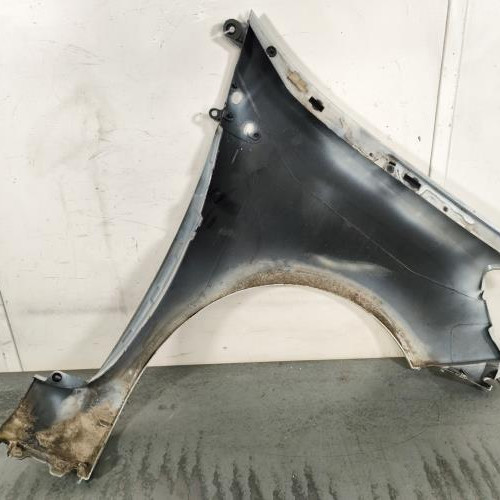 119725046-03dbb6b8-2062-4718-ba00-fccded15613e-Piece-Aile-avant-gauche-631014270R-RENAULT-CLIO-3-PHASE-2-e2c21c5bd4692ce1341ee43b0c39934f7697ad3b4ff0714a846a0cdc3534f1dc_m.jpg