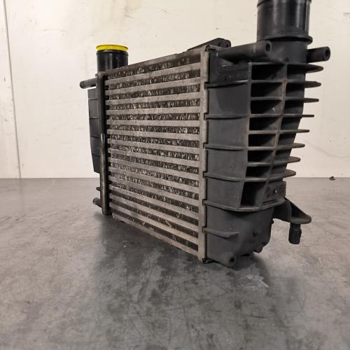119730627-00c03427-9798-4a04-956d-449c49597118-Piece-Echangeur-air-Intercooler-8200471888-RENAULT-CLIO-3-PHASE-2-c1dff7db21ab0dfb579e03e2533e7fc7b1ce395605fe5edc34dcd4e574b7d8ae_m.jpg