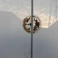 Vehicule-FIAT-TALENTO-2021-dc441f7df804c93f6869afcd4b35be20bff72eff77c7ca88be596652b242573a_m.jpg