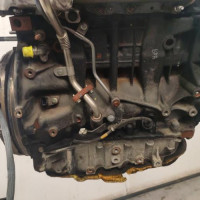 124064995-929808ce-b02d-4427-b2ca-d00efb91882a-Piece-Moteur-6000640004-FIAT-TALENTO-a98d0d7f2faf60a80a52e634033a68dbd60f45c902e231da54178be14528ccce_m.jpg