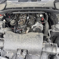 15589449-3eba5f7055d7ceb2f2afffb2b00e796f2a8ff82f5d88c814de52c4938e42968e_m.jpg