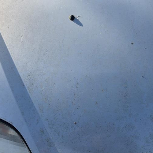 Vehicule-RENAULT-SCENIC-2002-c1539d84a1b4362c79913e8bae51da2a2e13bcc29e900cf2f2572f645aa2a60c_m.jpg