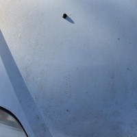 Vehicule-RENAULT-SCENIC-2002-c1539d84a1b4362c79913e8bae51da2a2e13bcc29e900cf2f2572f645aa2a60c_m.jpg