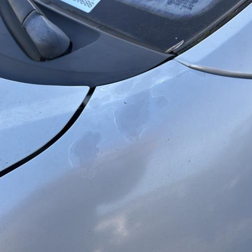 Vehicule-RENAULT-SCENIC-2002-6e52353df3aab9e2a2df009d2f0e2ddb3b34a5e8e691cbfd63b62eca0f0ad1d8_m.jpg
