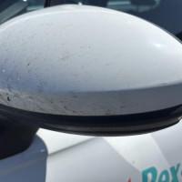 Vehicule-RENAULT-CLIO%25205-2020-8e0edd4bfbe03b803fc81058c4cc3dc439825029f96d24792d7f62a5ade82aa2_m.jpg