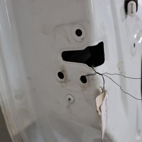 128978777-75d6a2ca-dc22-473a-9048-9615af5e945f-Piece-128978777-Porte-avant-gauche-801010179R-RENAULT-TRAFIC-3-COURT-PHASE-2-20-BLUE-DCI-16V-TURBO-b35931e014d733064dd8ae72488f72deb26f738350429c309a540929a1764e5a_m.JPG