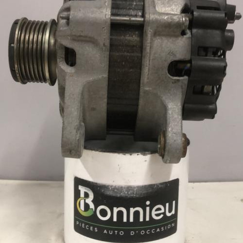 41300901-d7cbecd5-8e56-4afc-bdfc-4d43d75f6453-Piece-Alternateur-231008918R-RENAULT-CAPTUR-1-PHASE-2-91abb20ad0b0160a2889cfeaff30965892f698ef3bb10a38a750a3d6be0c7bb8_m.jpg