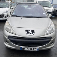 Vehicule-PEUGEOT-207-2006-331b5aaf91a18a6f5de8fbd37dd3d2501ed0a31513ca2198a289bf00f6b4e586_mtn.jpg
