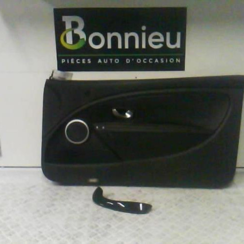 Panneau de porte avant droit